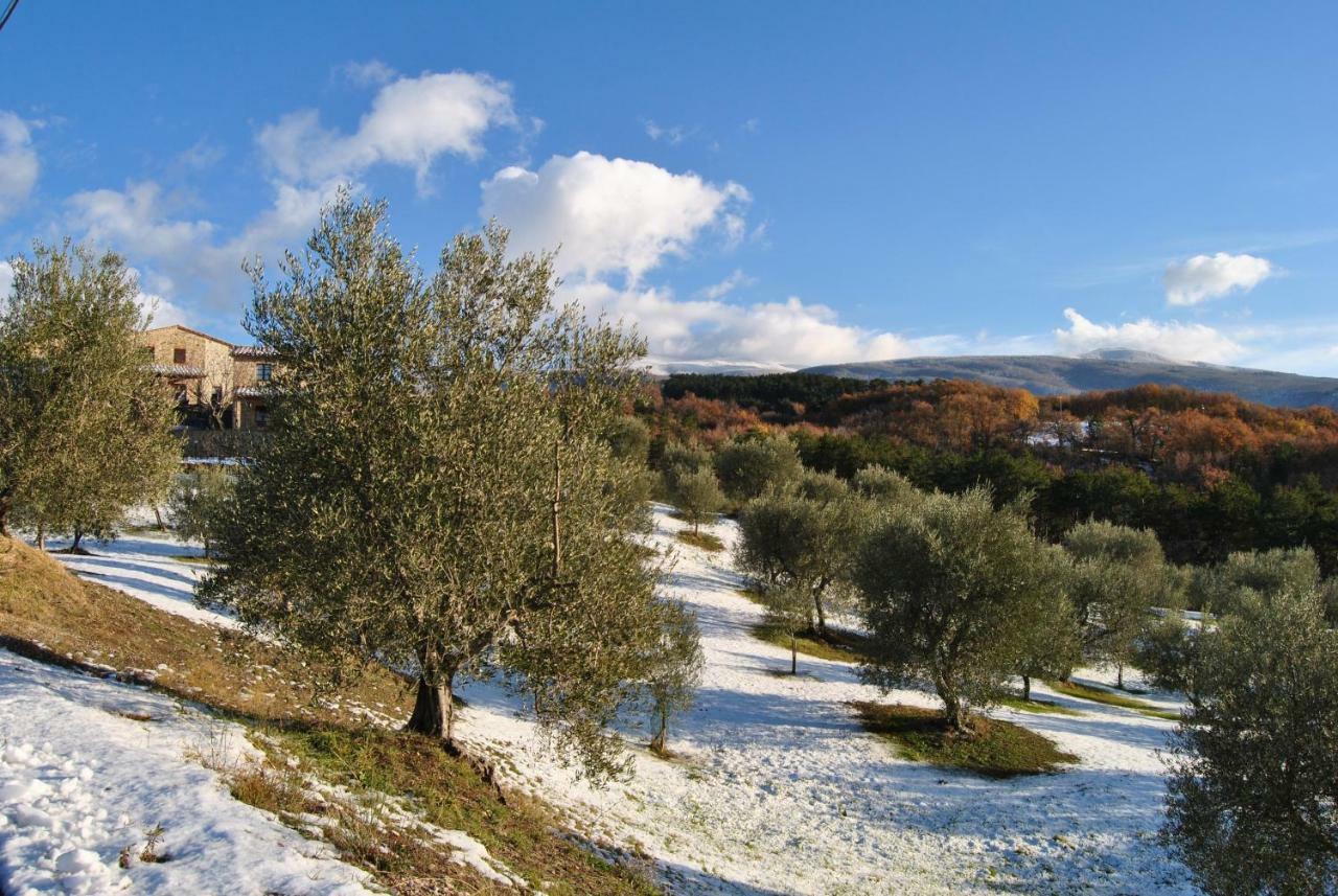 Casa Fioranna Villa Seggiano ภายนอก รูปภาพ